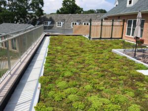 Side View of Vegetative Roof with Greenery