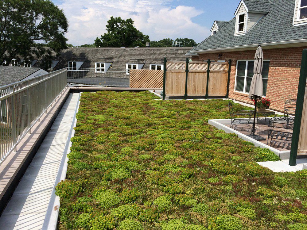 Commercial green roof systems for Eastern PA, NJ, DE, & MD