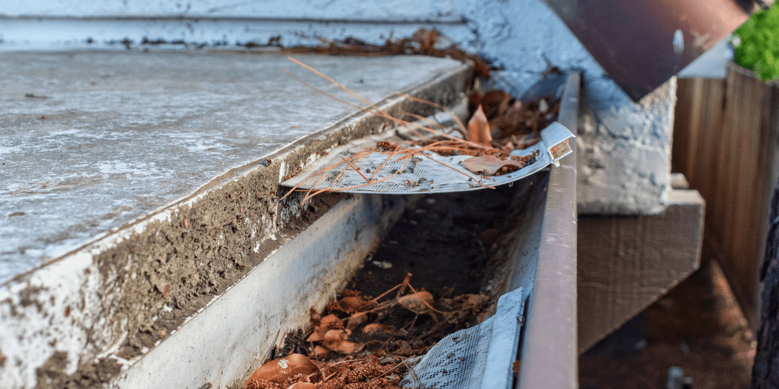 Dirty Gutters on Roof