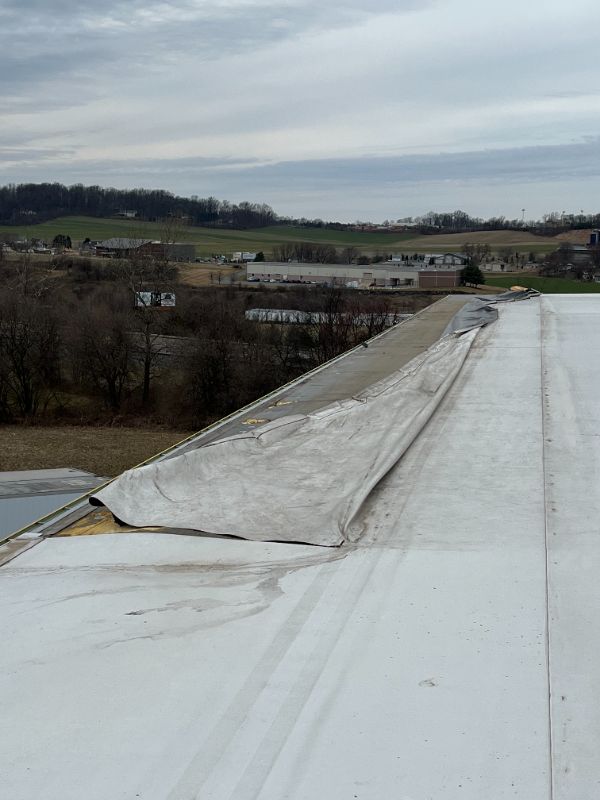 image of a customer's roof after strong winds.  Roof blow-offs are very damaging and need to be addressed immediately.