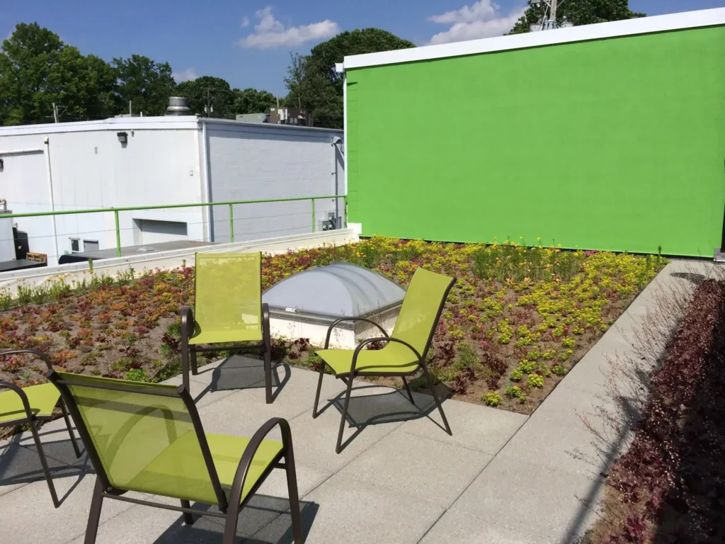 Our green roof at GSM Roofing
