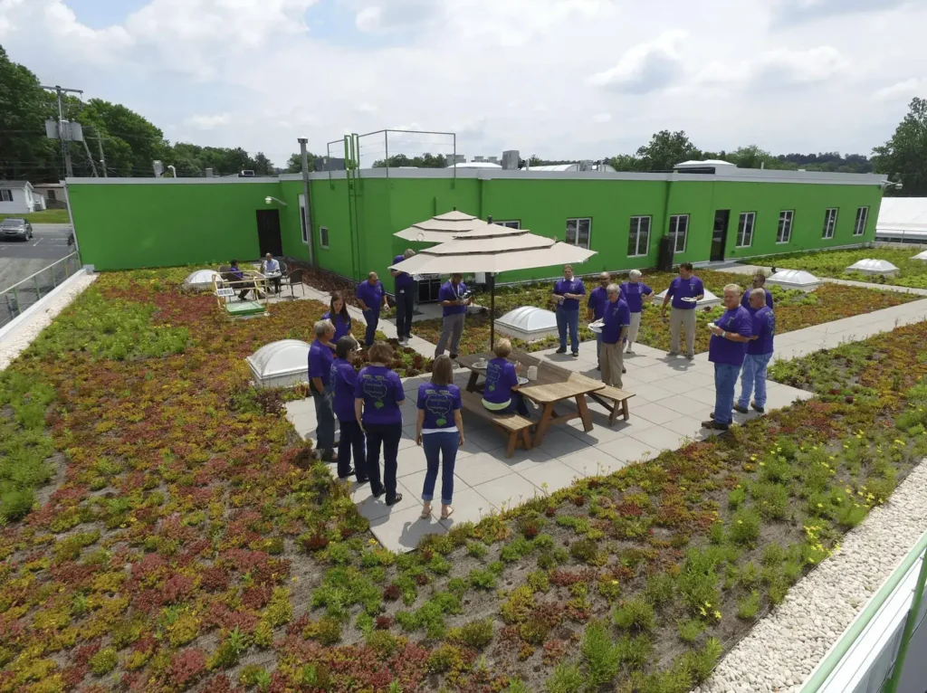 Workers enjoying the green roof at GSM Roofing