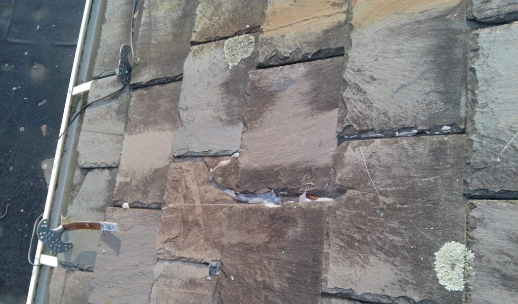 Failed and damaged Vermont Gray slate tiles with lichen growth and exposed underlayment on historic church roof in Tyrone PA Blair County documented by GSM Roofing during initial assessment 2024